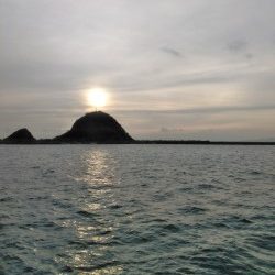 今年も有田へ太刀魚・・